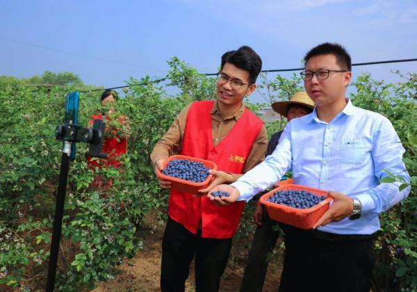 浙江长兴：蓝莓特色产业助力乡村振兴