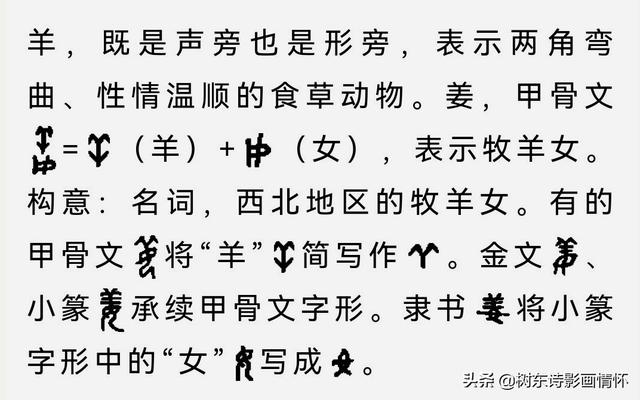 树东解译“姜”字的演变，讲述“姜太公钓鱼”的历史故事