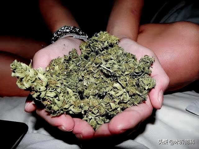 关于大麻种植来源和使用方法的考古探讨