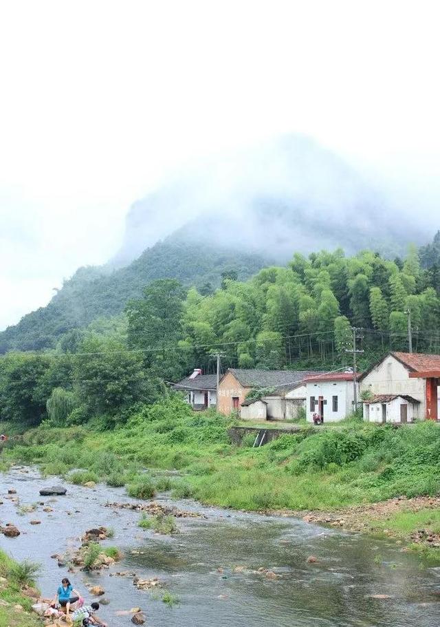 秋季有闲置土地别浪费，种上一些中草药，效益很好