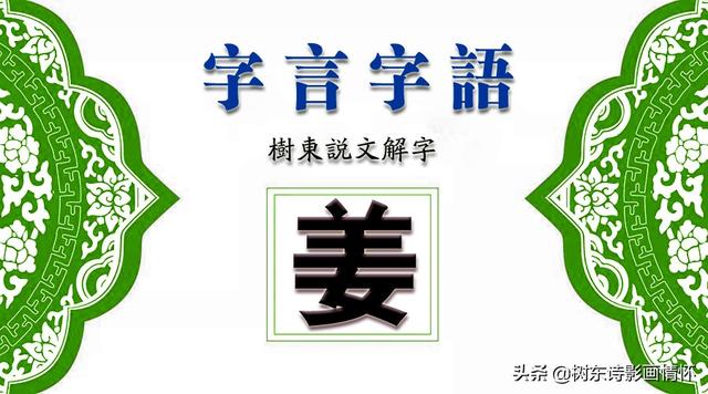 树东解译“姜”字的演变，讲述“姜太公钓鱼”的历史故事