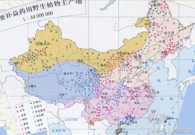 中国主要中药产地地图