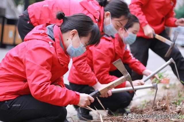 撒下绿色 收获希望——石门栈道植树节活动