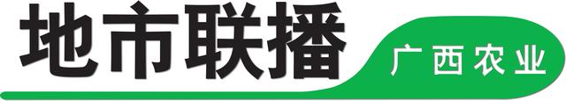 良种率95.1%！梧州特色果业明显提升的原因是……