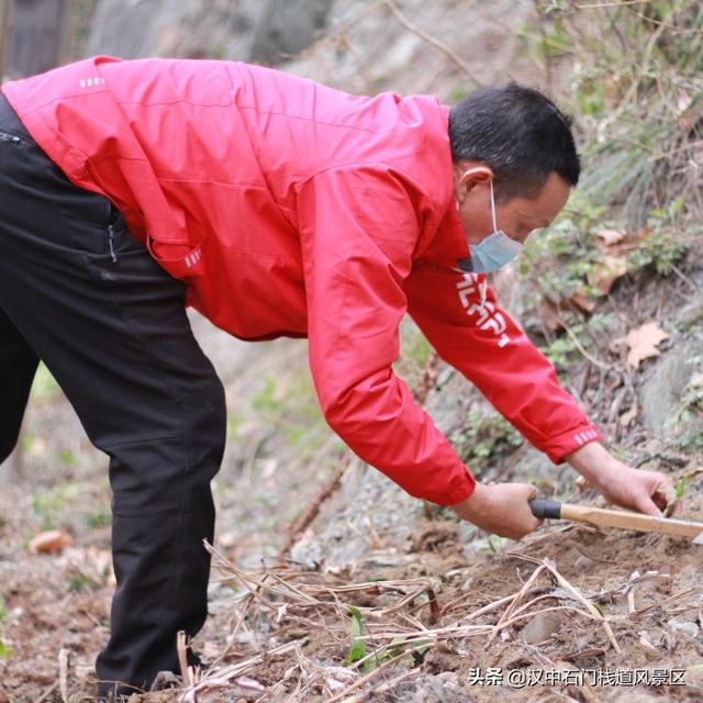 撒下绿色 收获希望——石门栈道植树节活动