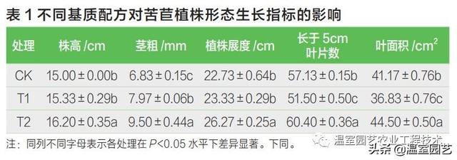 试验证明：草炭配菇渣，苦苣长得更棒哦