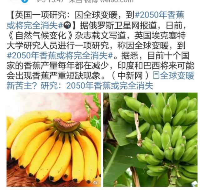 随处可见的香蕉快要灭种了？这是怎么回事？