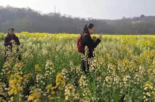 谁说农业不赚钱？这3个种植新法值得试一试，成本少收入高！