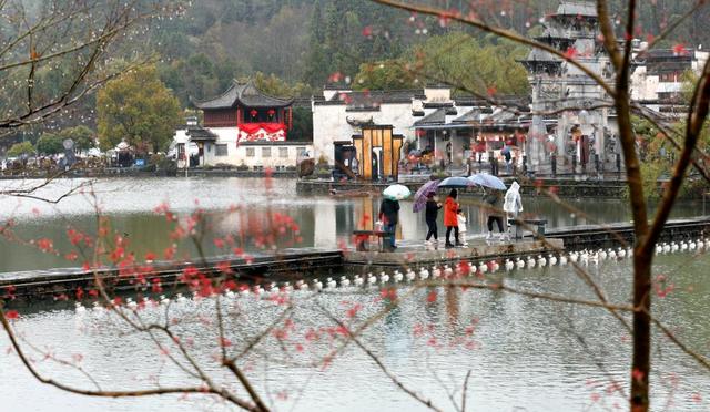 时光相册丨图说节气：惊蛰印象