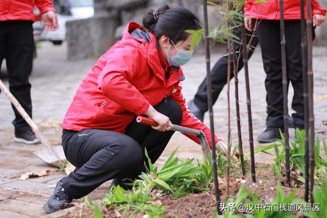 撒下绿色 收获希望——石门栈道植树节活动