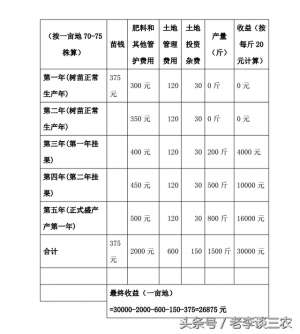 核桃树种植效益分析(核桃苗的种植前景和效益分析)