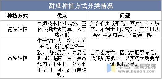 2022年中国甜瓜种植面积、产量、进出口及价格走势分析