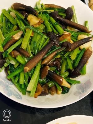 相对于大宗食用菌市场价格较高的黑皮鸡枞菌反季节栽培技术