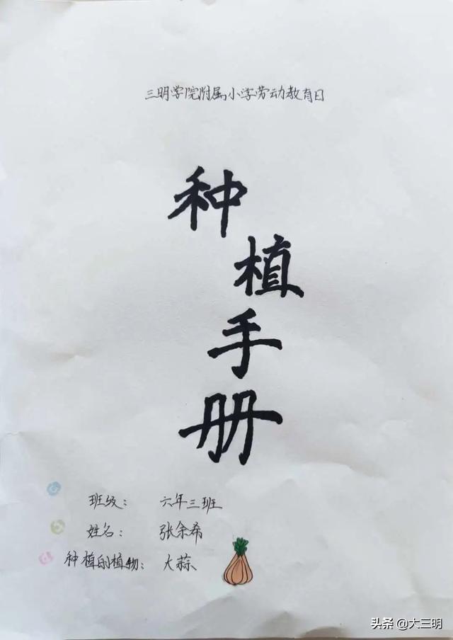 劳动教育｜居家战“疫”宅家种“绿”——六年段“我是种植小能手”活动掠影