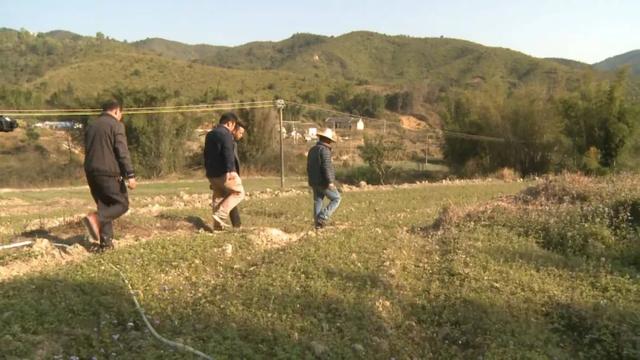 扶贫种植药材石参 安墩水美村一朝致富