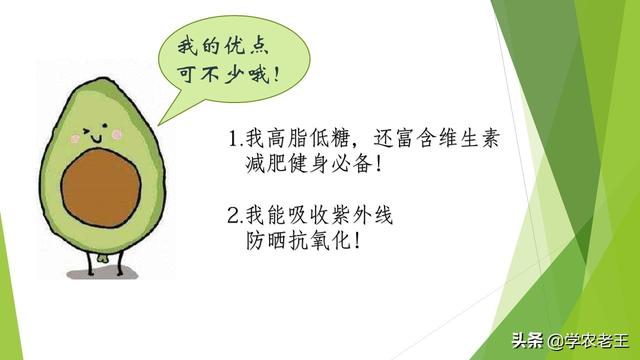 你们关心的牛油果种植答疑来了！先看看市场前景和种植条件