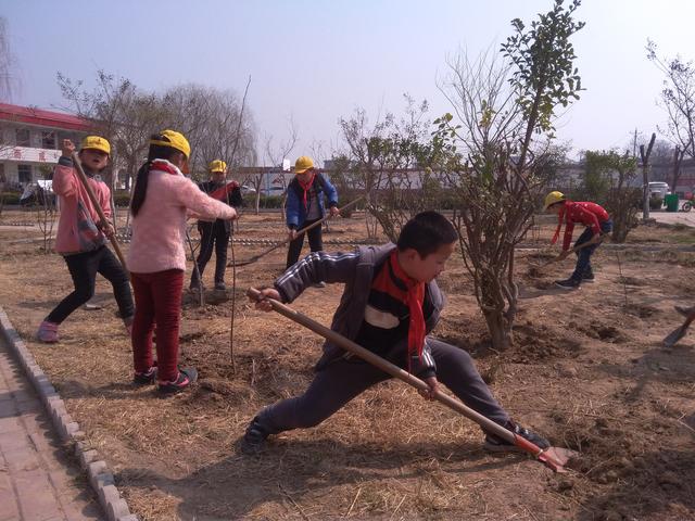 河南这所乡村小学，连续8年栽果树种五谷育菜蔬