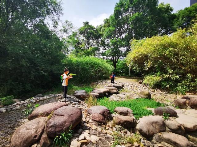 竹林、溪流、人工湖……长宁这处“天然氧吧”野趣多多