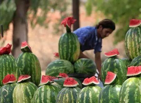 你知道葡萄、核桃和“黑暗”香菜..这些食材都是怎么进入中国的吗？