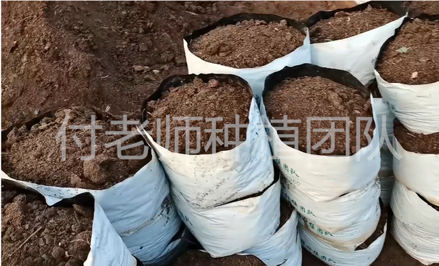 无土栽培瓜果蔬菜，选对栽培基质，新手也能种植成功