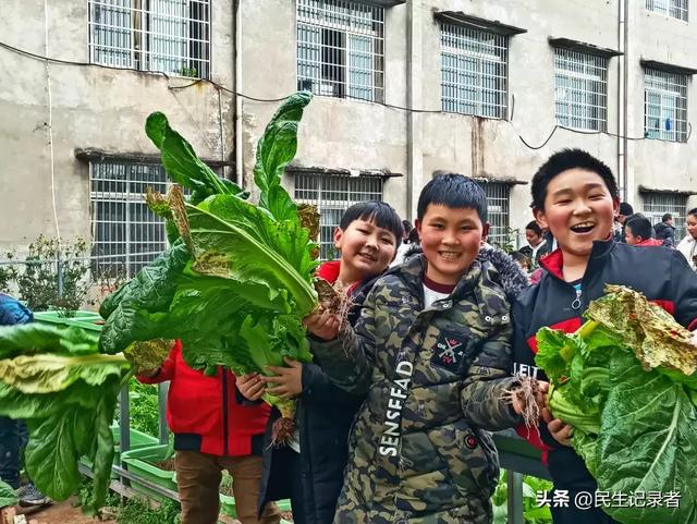 龙桂小学校本课程种植园“新芽园”之收获篇