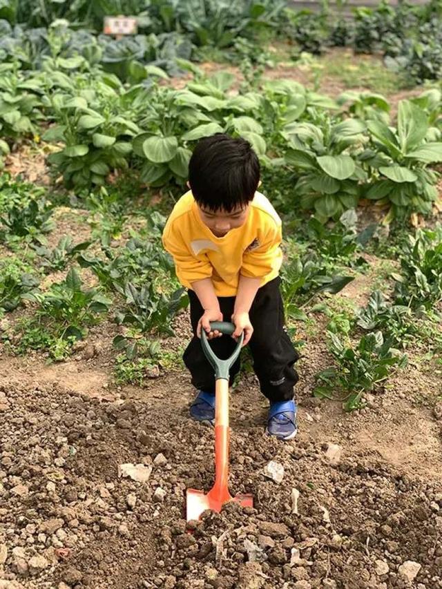 城市里的年轻人，开始找植物同居