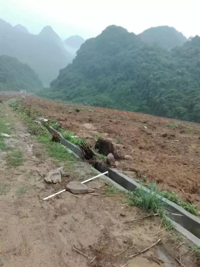 看了这篇超详细的柑橘建园攻略，我也能拥有跟种植牛人一样的园子