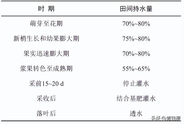 新技术！推出‘艳红’早栽培操作规程！