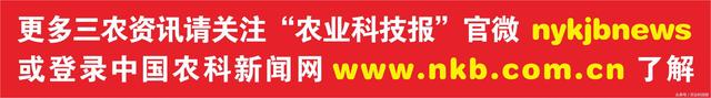 「杨凌样板」这里的空气有点甜，大马士革玫瑰庄园芳姿初显