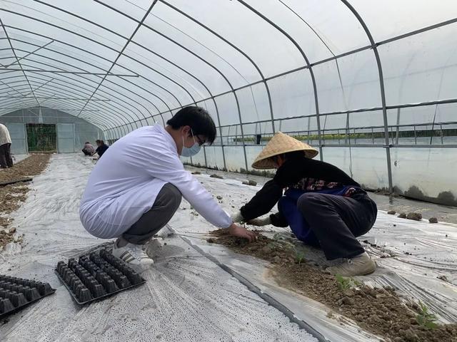 庄稼医院你听说过吗？金山这里就有！