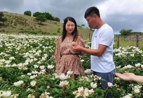 都说种地不挣钱？看人家内蒙这里种药材就挣大钱了