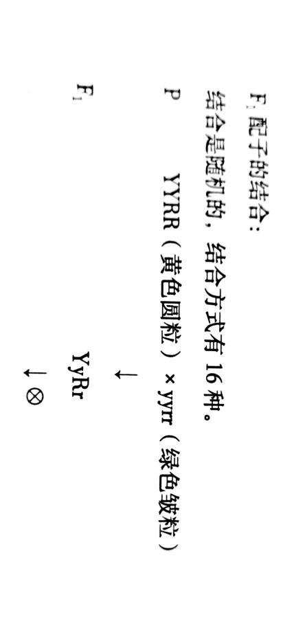 2022年高考 生物自由组合定律和基本方法