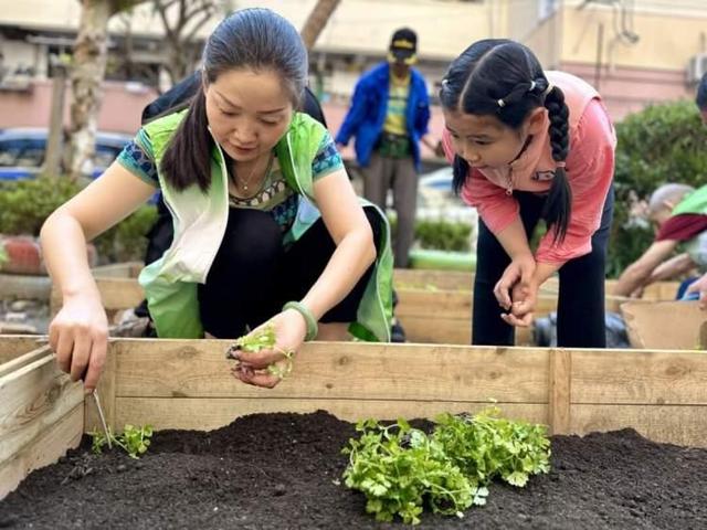 小区种植园升级！感受满满田园风