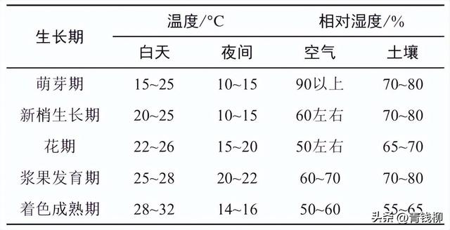 新技术！推出‘艳红’早栽培操作规程！