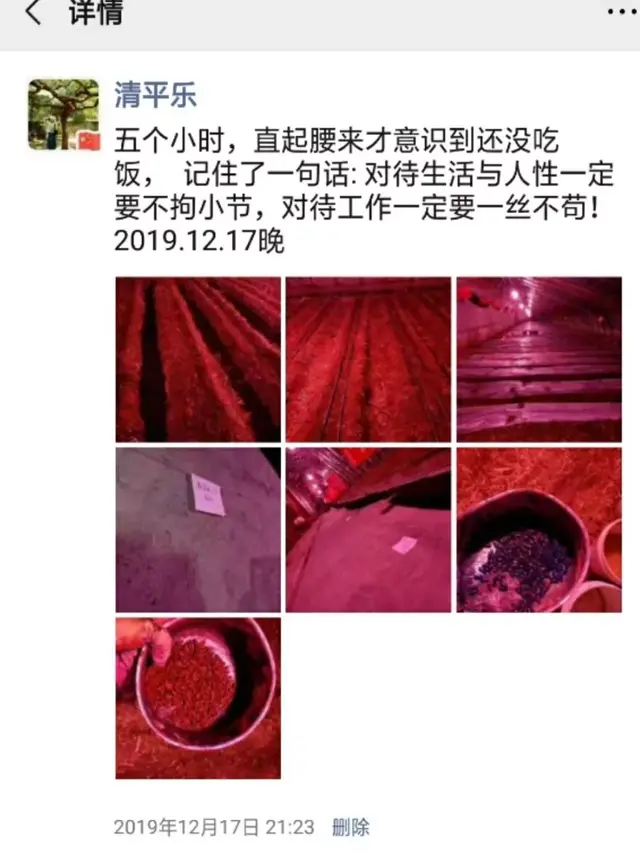 精心整理！！芸豆冬春茬栽培看这篇就够了