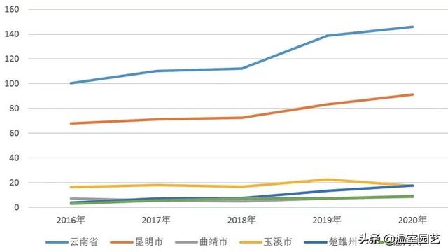 速看｜2020云南花卉产业发展情况分析