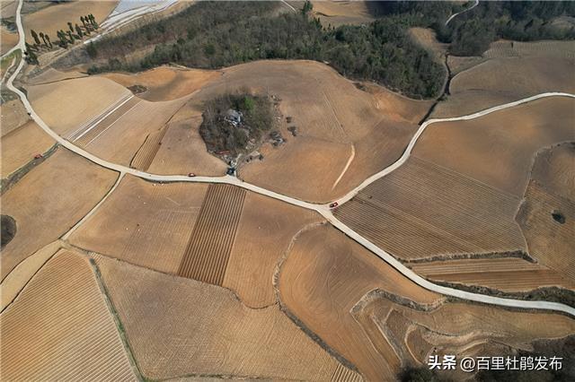 黄泥乡坝子村：烟田翻耕起垄忙