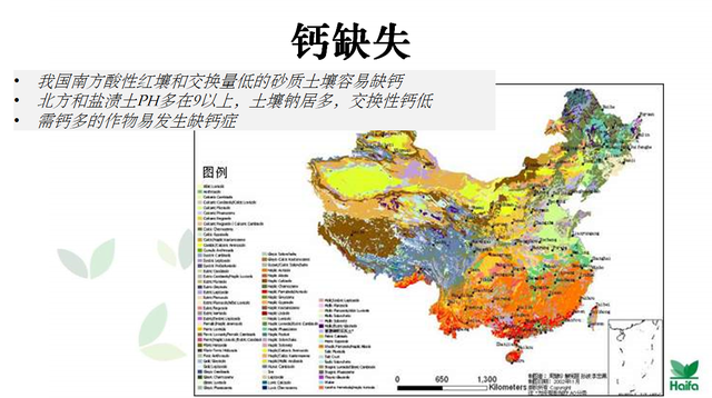 “第四届西瓜产业论坛“从细节改良，减量增益，主导产业升级