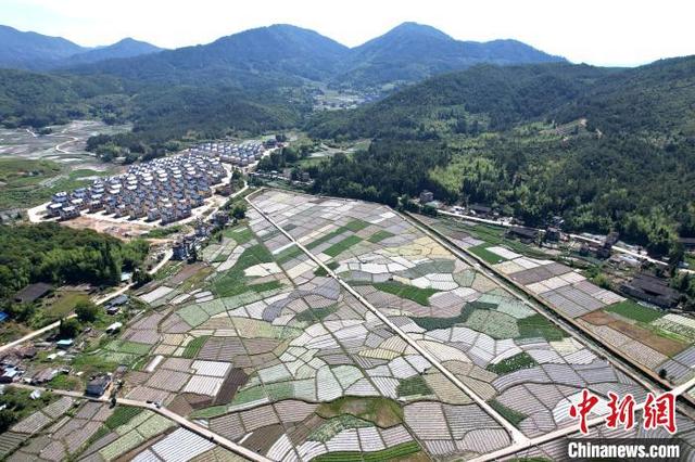 福建闽侯：俯瞰蔬菜种植基地 宛如大地调色板