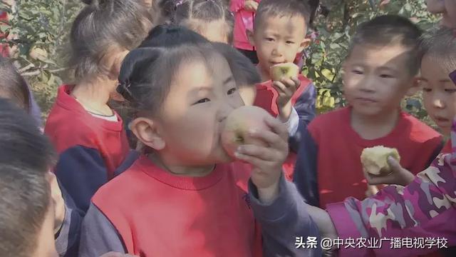 【农广天地】孙子故里 果香鱼肥