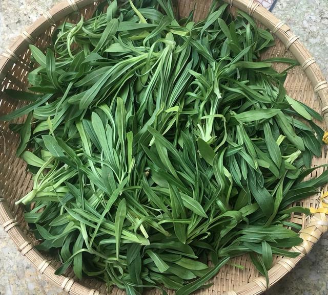 俗称“面条菜”，麦田常见的杂草，也是充饥的野菜，好吃价值也高