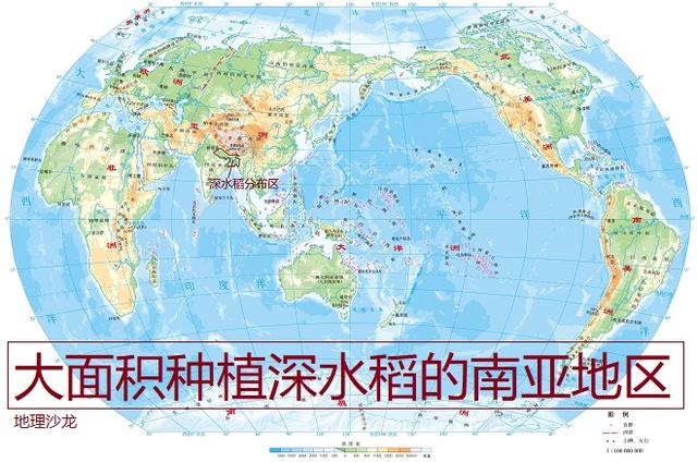 为什么在恒河平原和恒河三角洲地区，会大面积的种植“深水稻”？