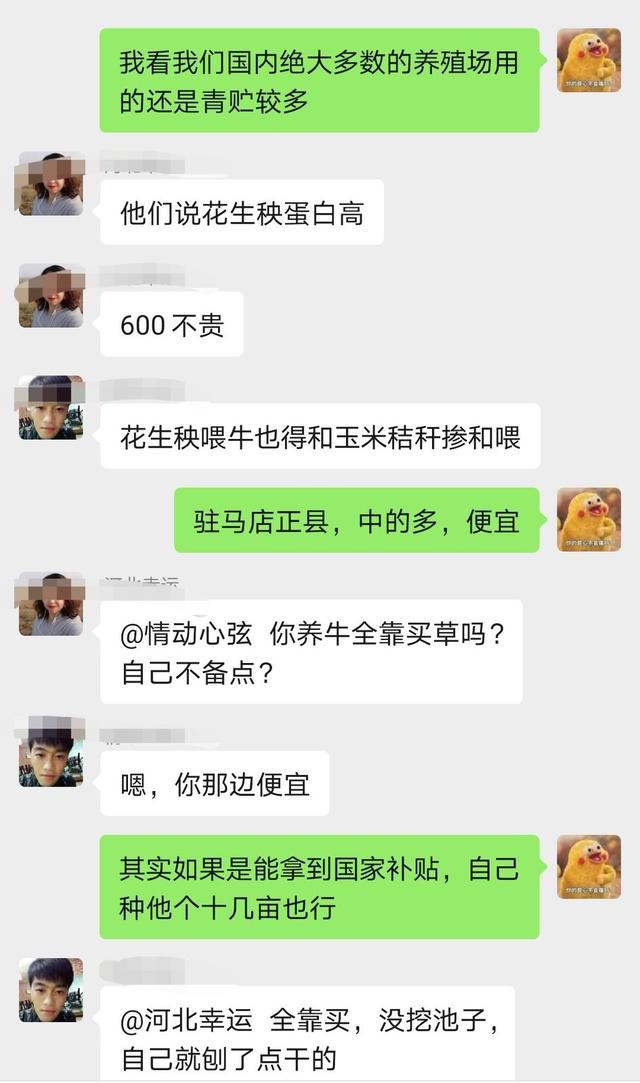 种一亩地牧草能赚2400元？这是实话还是理论呢？