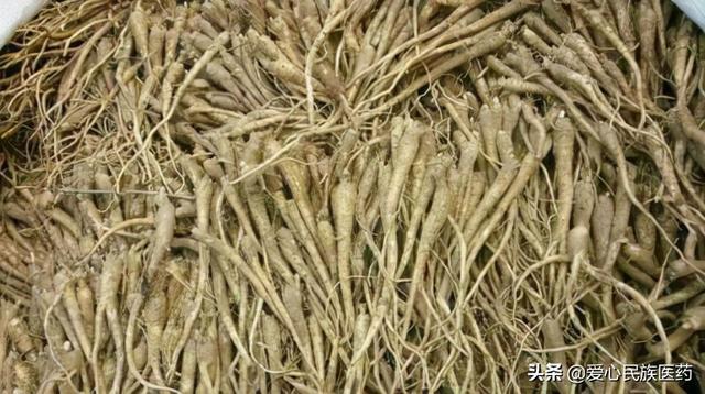 种植中药材有问题 要解决 方法是关键 科技是根本