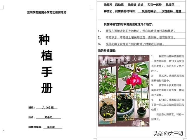 劳动教育｜居家战“疫”宅家种“绿”——六年段“我是种植小能手”活动掠影