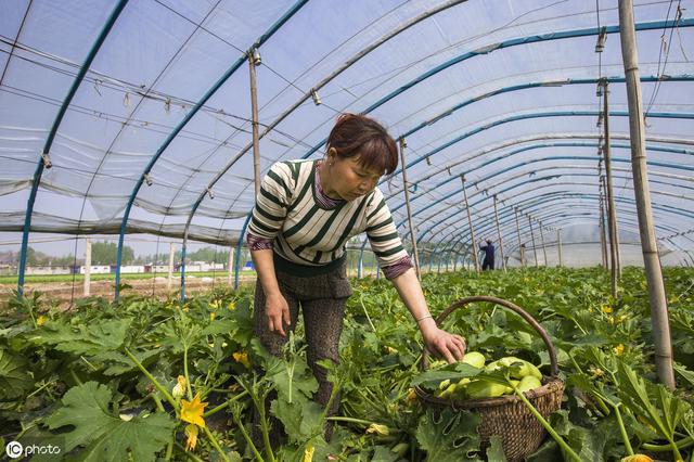 桃花依旧笑春风