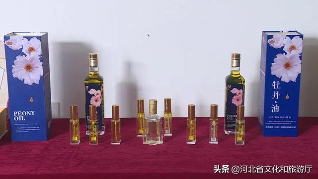 花开富贵！牡丹果然让邢台柏乡不同寻常！！