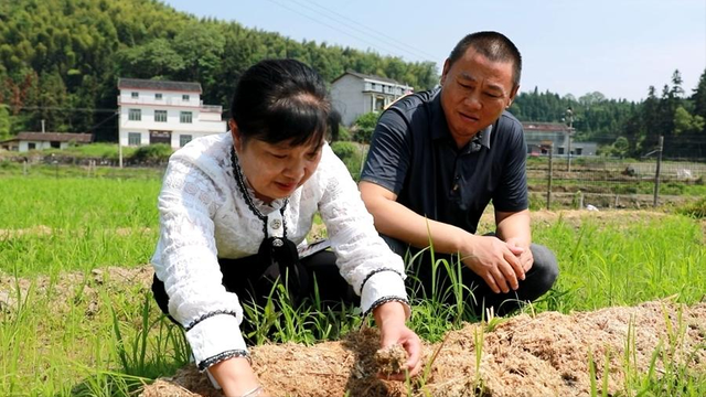 湘乡这个梅龙村：立“竹”资源 借竹生“金”！