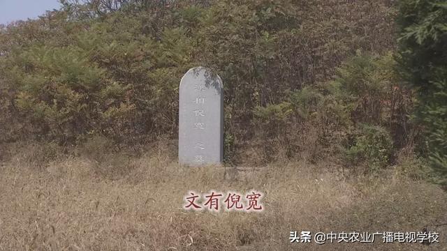 【农广天地】孙子故里 果香鱼肥