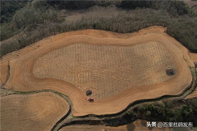 黄泥乡坝子村：烟田翻耕起垄忙